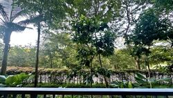 Heron Bay (D19), Condominium #500181551